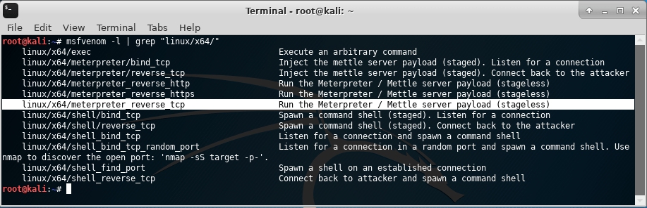 OD_Kali Linux_02_01_2019_11_28_20